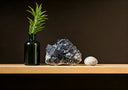 Why Fluorite Crystal is the Ultimate Home Decor Upgrade