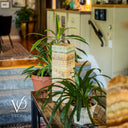 onyx lamp with Potted plants on a wooden table with a blurred background of a living room.