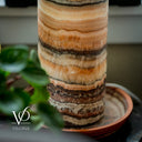 Tangerine Onyx Table Lamp - 18" Tall, x 5.5" Diameter - Live Edge (Medium #53)