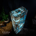 Argentina Blue Onyx Rectangle #3