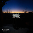 Exotic Everglade Onyx Crystal Bowl (2/3) - Onyx Bowl