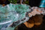 Fluorite Bowl (1/3) - Stone Bowl