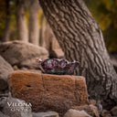 Fluorite Bowl #15 - Stone Bowl