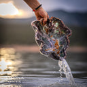 Fluorite Bowl #15 - Stone Bowl