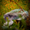 Fluorite Bowl #27 - Stone Bowl