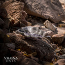 Fluorite Bowl #29 - Stone Bowl