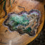 Fluorite Bowl (3/7) Exotic - Decor