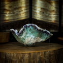 Fluorite Bowl #32 - Stone Bowl