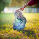 Fluorite Crystal Bowl #26 - Stone Bowl