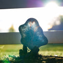 Limited Blue Onyx Bowl #2 - Stone Bowl