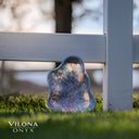 Limited Blue Onyx Bowl #2 - Stone Bowl