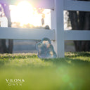 Limited Blue Onyx Bowl #2 - Stone Bowl