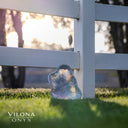 Limited Blue Onyx Bowl #2 - Stone Bowl