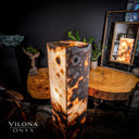 Polished Exotic Sahara Onyx Floor Lamp (2/2) - Floor Lamp