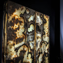 Sahara Onyx Wall Panels (Exotic Skull #1) - Wall Panel