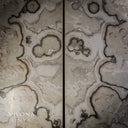 Sahara Onyx Wall Panels (Exotic Skull #1) - Wall Panel