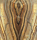 Sahara Onyx Wall Panels (Set #2 Out Of 3) Exotic - Floor