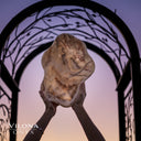 Tangerine Crystal Onyx Bowl #6 - Onyx Bowl